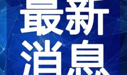 最新爆料那英过往事件视频